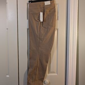 Westbound Woman Park Ave. Fit  Pants in Taupe 22W Short NWT